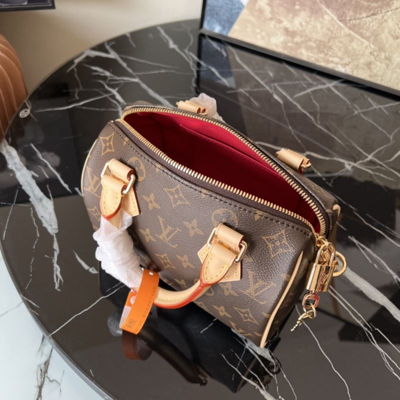 LV Speedy Bags